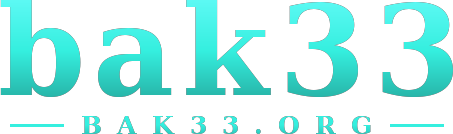 bak33 logo